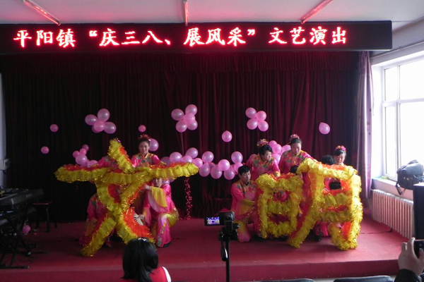 平阳镇举办“庆三八、展风采”文艺演出