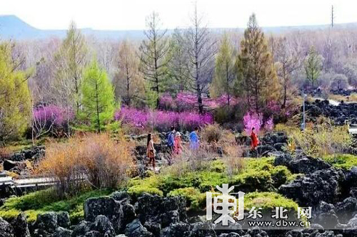 五一 小长假五大连池旅游市场持续火爆 接待游