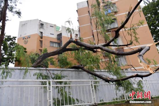 国家防总:泰利或成今年登陆中国最强台风_突