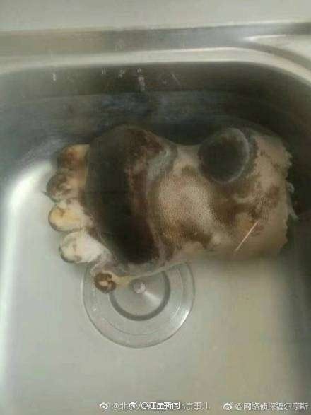 女子晒吃熊掌照 小心!这些野生动物吃一口将留案底