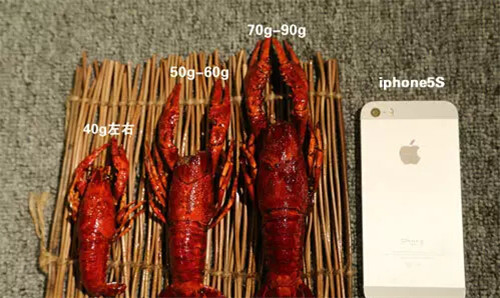 是时候让你见识真正的吃小龙虾口诀和吃虾攻略!