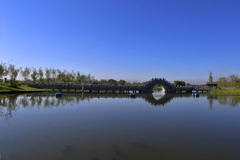 溼地自駕行齊齊哈爾扎龍溼地長春北湖國家溼地公園磨盤湖國家溼地公園