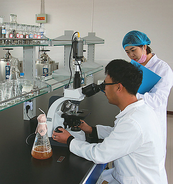 日出江花红胜火