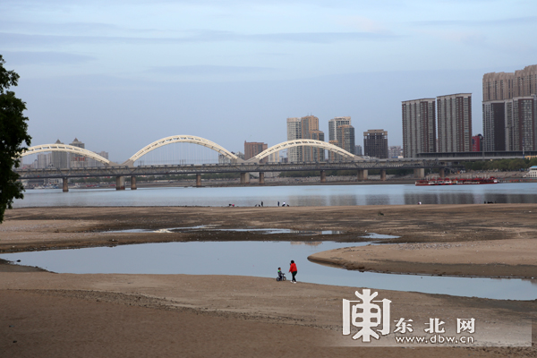 松花江现大面积江底 市民在岸边挖到大量大蛤喇(图)