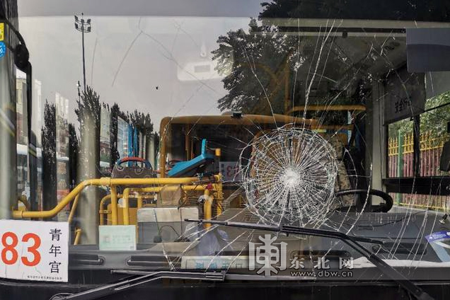 哈尔滨市道外区公浴街公交首末站停车场内,4辆83路公交车风挡玻璃被人