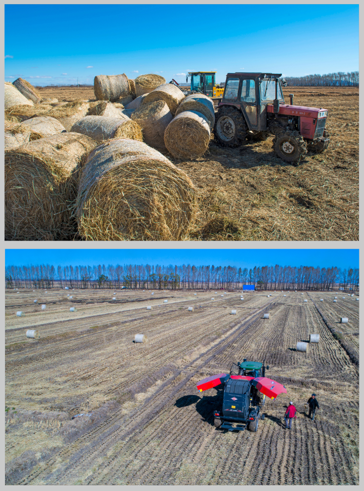 佳木斯市汤原县胜利乡合力村村民科学利用稻草,玉米桔,变废为宝实现