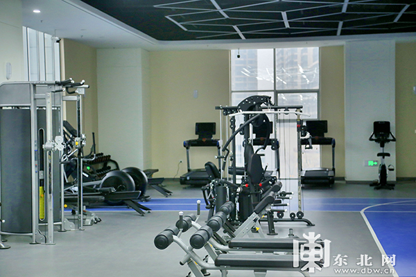 省体育局冬季项目餐饮中心 运动员体能训练中心揭牌投用