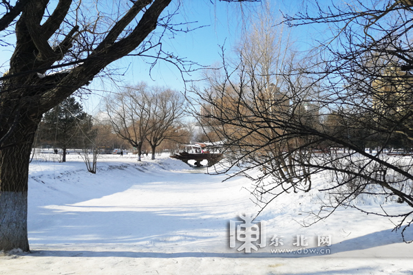 哈尔滨公园绿地留白造景市民家门口赏雪玩雪戏雪 哈尔滨公园绿地留白造景市民家门口赏雪玩雪戏雪