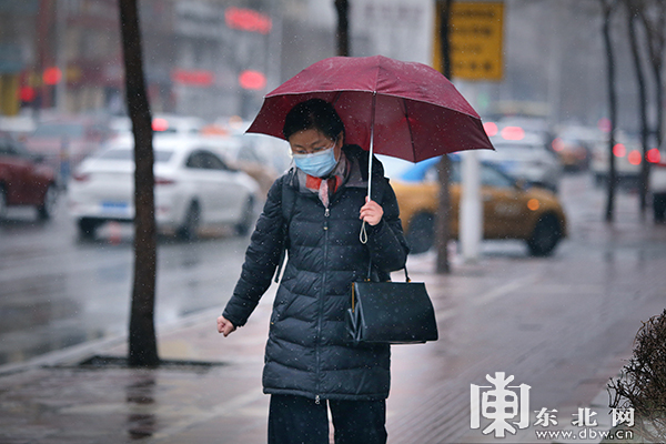哈尔滨迎来春雪市民撑伞出行 组图