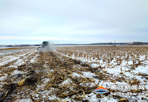 北安市杨家乡为明年农业生产蓄能添力