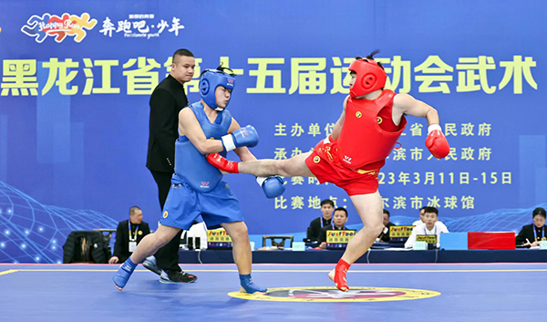 黑龙江省第十五届运动会武术散打比赛结束26枚金牌各归其主