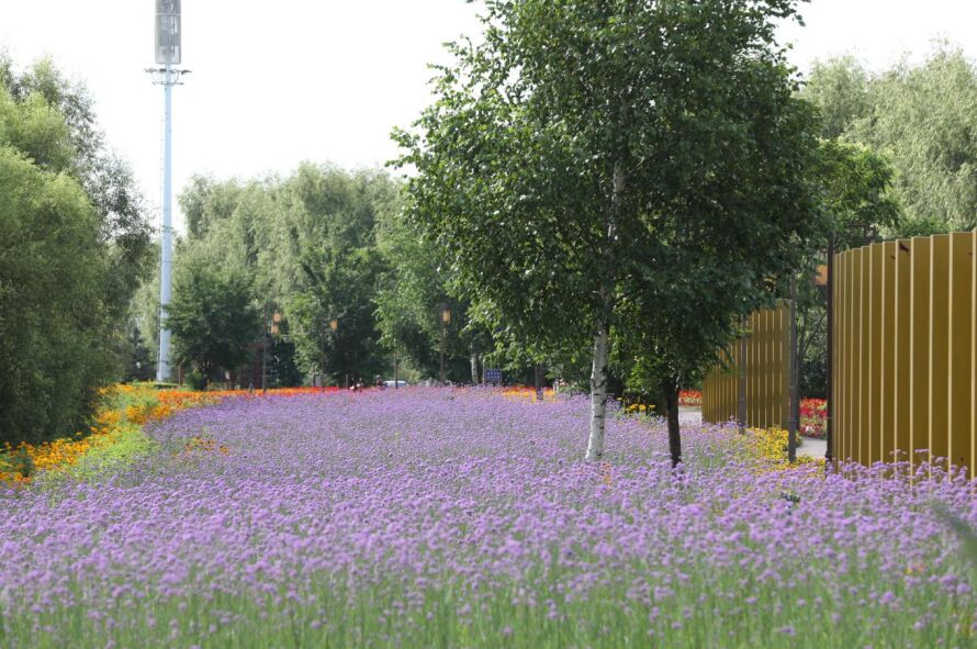 "花样"桦南 美丽遇见