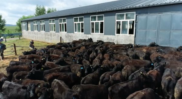 中央一号文件首提“人工智能+农业” 资本聚焦农业新质生产力U8国际- U8国际官方网站- U8体育APP下载