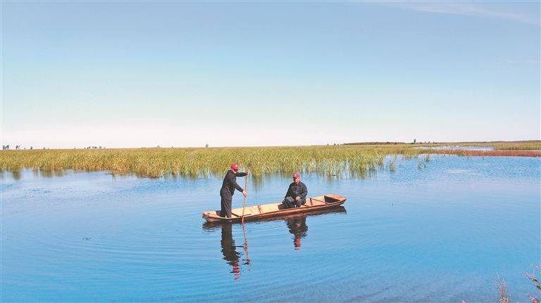 明水 解锁湿地的"诗意密码"
